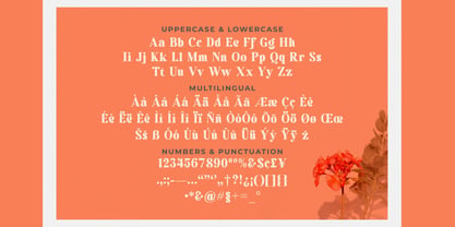 Seerose Font Poster 4