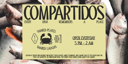 ST Camino Frontera Font Poster 5