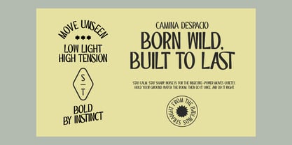 ST Camino Frontera Font Poster 9