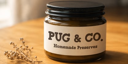 Portly Pug Font Poster 10