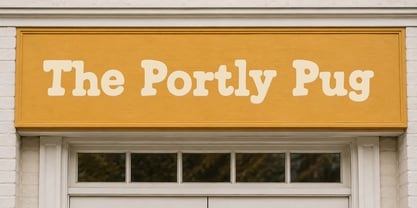 Portly Pug Font Poster 2