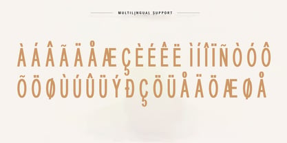 Manzada Font Poster 9