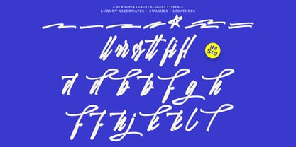 Lettering Editorial Font Poster 9