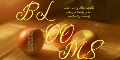 Delegatt  Textured Font Poster 6