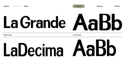 Homiled Font Poster 13