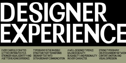 Homiled Font Poster 2