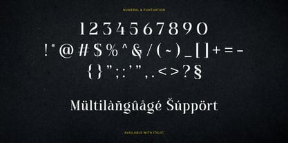 Orderic Font Poster 8