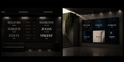 Randion Serif Family Font Poster 11