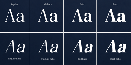 Randion Serif Family Font Poster 4