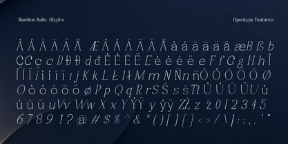 Randion Serif Family Font Poster 15