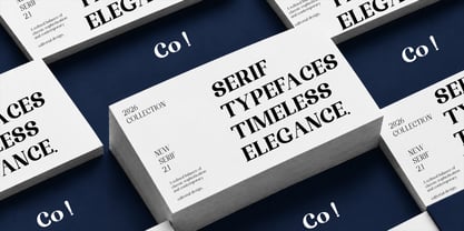 Randion Serif Family Font Poster 7