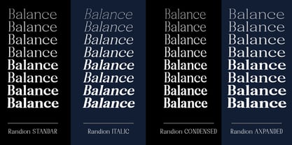 Randion Serif Family Font Poster 3