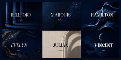 Randion Serif Family Font Poster 9