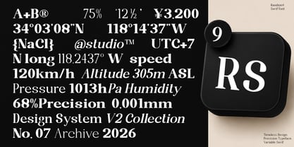 Randion Serif Family Font Poster 5