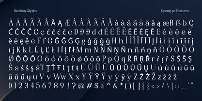 Randion Serif Family Font Poster 14