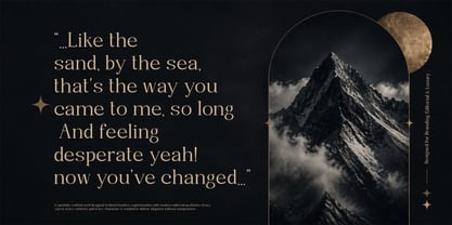 Randion Serif Family Font Poster 8