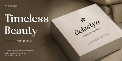 Randion Serif Family Font Poster 6