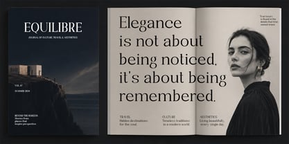 Randion Serif Family Font Poster 10