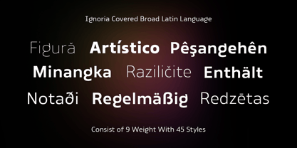 Ignoria Font Poster 8