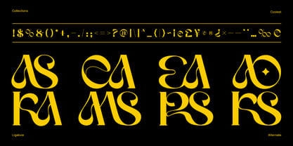 Wave Maska Font Poster 10