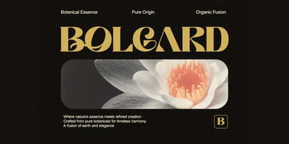 Sodaliq Font Poster 10