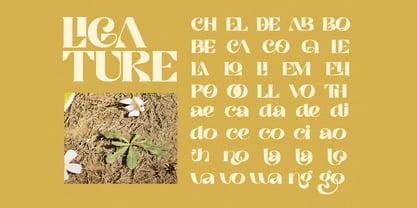 Sodaliq Font Poster 2