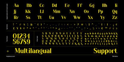 Borisna Font Poster 12