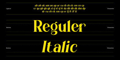 Borisna Font Poster 11