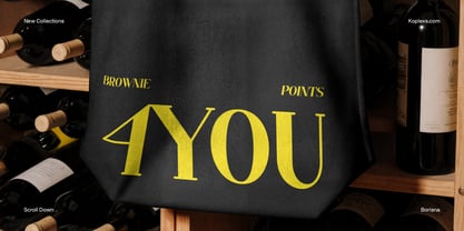 Borisna Font Poster 9