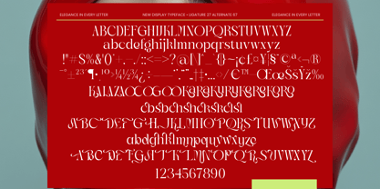 Magnolia Nocturne Font Poster 10