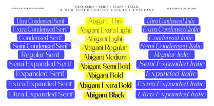Abigant Font Poster 4