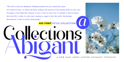 Abigant Font Poster 2