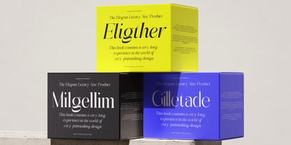 Abigant Font Poster 7