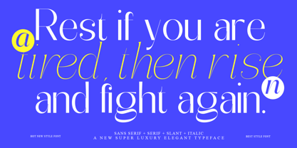 Abigant Font Poster 10