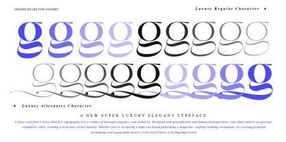 Abigant Font Poster 6