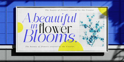 Abigant Font Poster 3