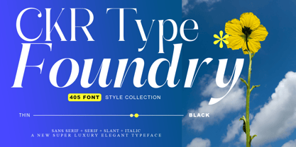 Abigant Font Poster 5