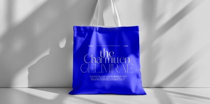 Abigant Font Poster 12