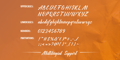 Velindra Story Font Poster 8