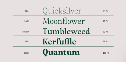 Megiola Font Poster 4