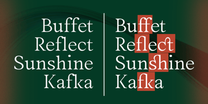Megiola Font Poster 3
