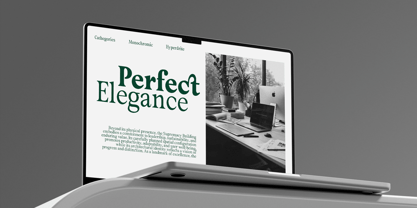 Megiola Font Poster 8
