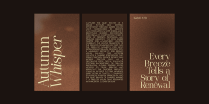 Elian Covaire Font Poster 8