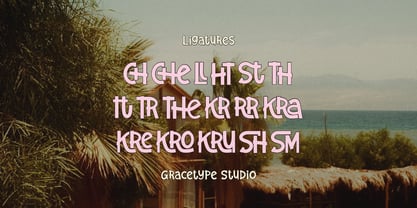 Solagrain Analog Font Poster 12