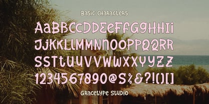 Solagrain Analog Font Poster 10