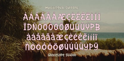 Solagrain Analog Font Poster 11