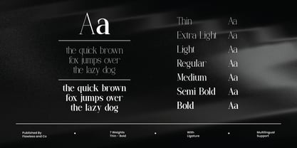 Lunar Type Font Poster 6