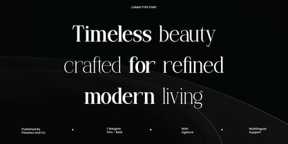 Lunar Type Font Poster 3