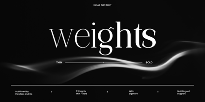 Lunar Type Font Poster 5