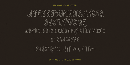 Poetry Velvet Font Poster 9